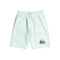 Short tipo buzo para niño Quiksilver 3T